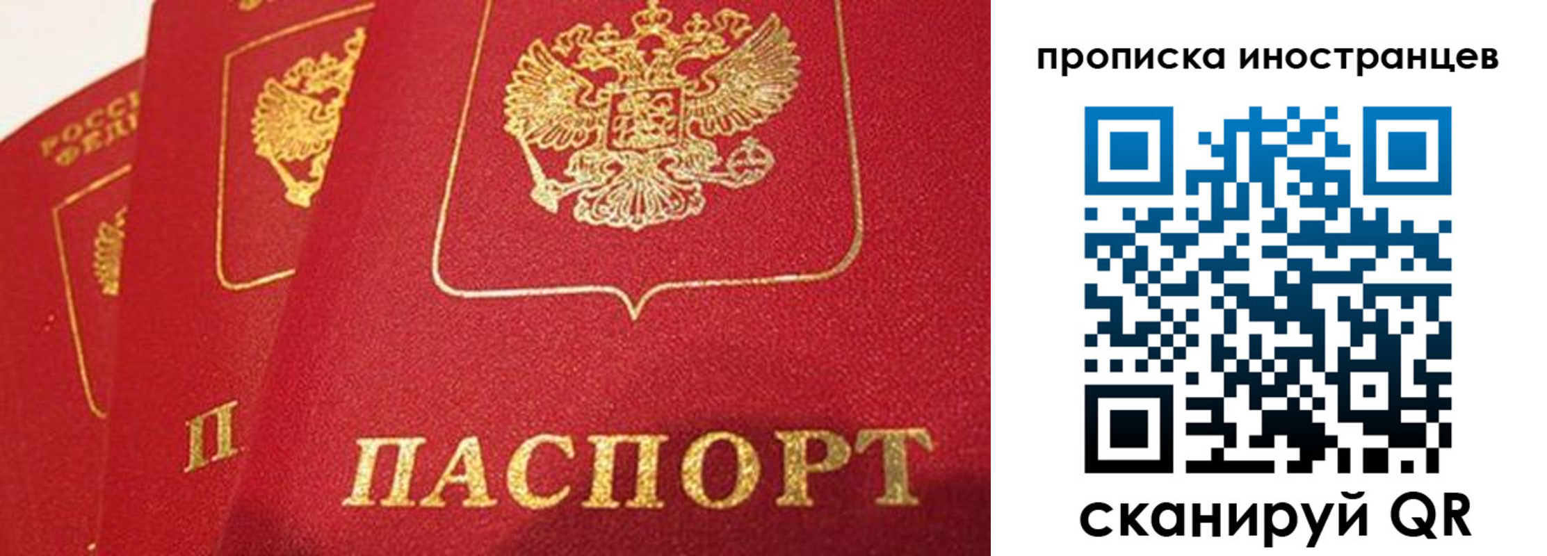 прописка поиск в Сорске